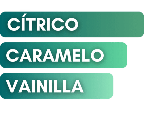inspirado-en-lira-de-xerjoff-lir