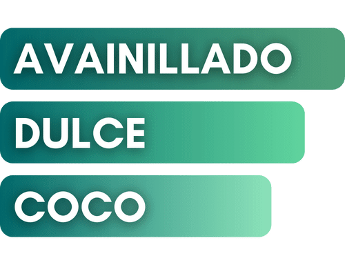 inspirado-en-coco-vanille-de-mancera