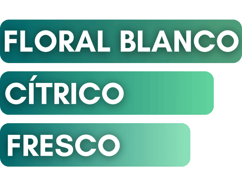 inspirado-en-flora-gucci-flo